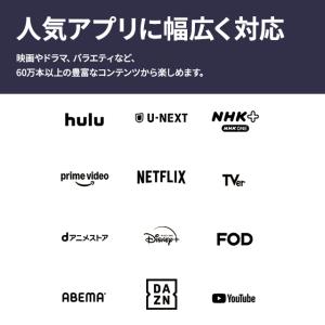 Amazon Fire TV Stick 4K...の詳細画像3