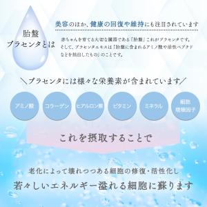 ドクターセレクト 300000 プラセンタ ド...の詳細画像3