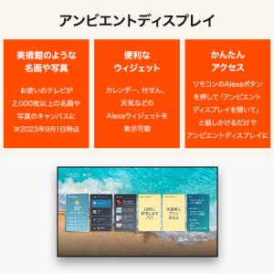 Amazon Fire TV Stick 4K...の詳細画像4