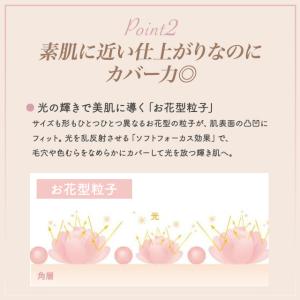 セフィーヌ シルクウェットパウダー レフィル ...の詳細画像3