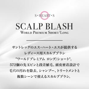 エスハートエス スカルプブラシ ワールドプレミ...の詳細画像1