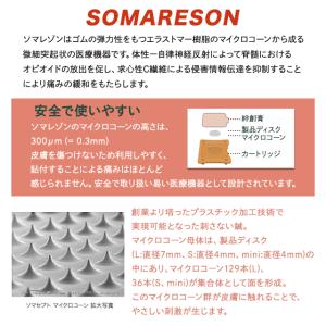 東洋レヂン ソマレゾン L 100個入り メデ...の詳細画像1
