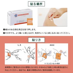 東洋レヂン ソマレゾン L 100個入り メデ...の詳細画像3