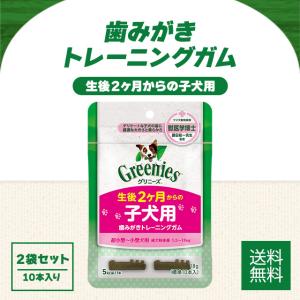 カンデル 1袋 15本 KANDEL デンタルスティック かつお風味 犬用