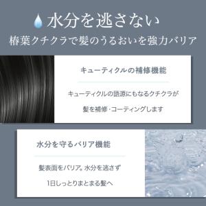 リファ ビューテック シャンプー 500ml ...の詳細画像3