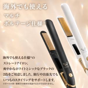 絹女 ストレートアイロン 海外対応 DS100...の詳細画像1
