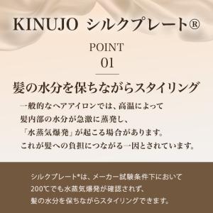 絹女 ストレートアイロン 海外対応 DS100...の詳細画像3