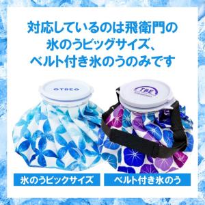飛衛門 氷のう専用 ミストスプレーヘッド ホワ...の詳細画像2