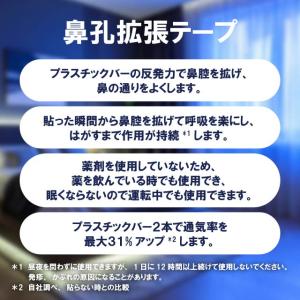 ブリーズライト スタンダード レギュラー 30...の詳細画像1