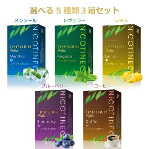 禁煙グッズ 禁煙サポート ハーブタバコ ノンニ...の詳細画像1