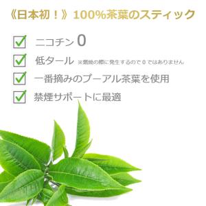 禁煙グッズ 禁煙サポート ハーブタバコ ノンニ...の詳細画像1