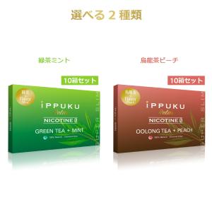 禁煙グッズ 禁煙サポート ハーブタバコ ノンニ...の詳細画像1