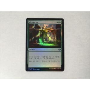 A265【MTG マジック・ザ・ギャザリング】カブトガニ Foil ホイル : E