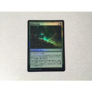 C68【MTG マジック・ザ・ギャザリング】 多相の戦士 日本語 黒枠 : E