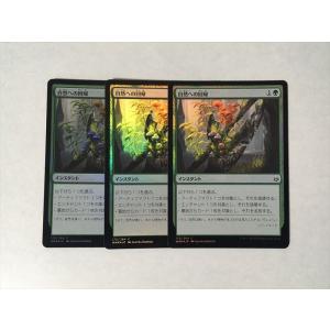 C61【MTG マジック・ザ・ギャザリング】 4版 破裂の王笏 日本語 黒枠