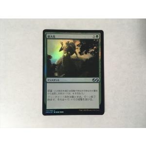 コナミデジタルエンタテインメント F76【MTG】苦悶の触手 2枚セット