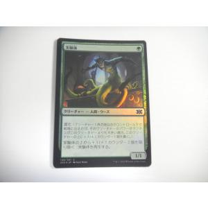 A265【MTG マジック・ザ・ギャザリング】カブトガニ Foil ホイル : E