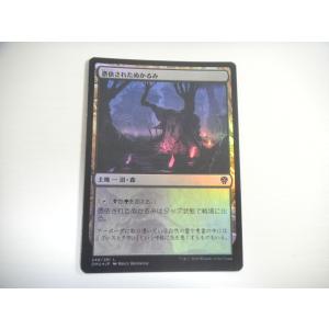 A265【MTG マジック・ザ・ギャザリング】カブトガニ Foil ホイル : E