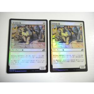 D130【MTG】駐屯地の猫 Foil 2枚セット 即決