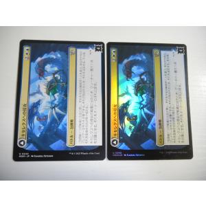 ヴァイスシュヴァルツロゼ OS06/R06-001OFR 櫻の森の中で 夏目藍 (OFR