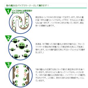 緑の魔女 トイレ用洗剤 ミントの香り トイレ掃...の詳細画像2