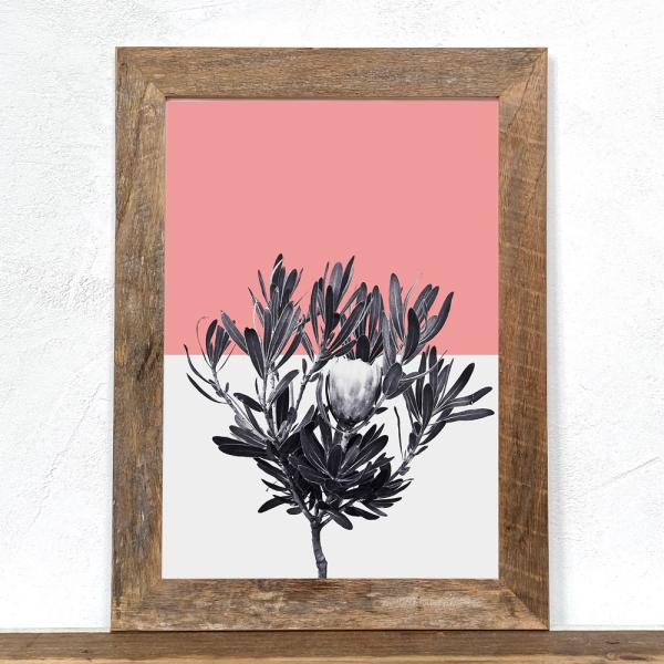 アートポスター A4 古材フレーム付き プロテア x パステルピンク  部屋に飾る絵 玄関に飾る絵