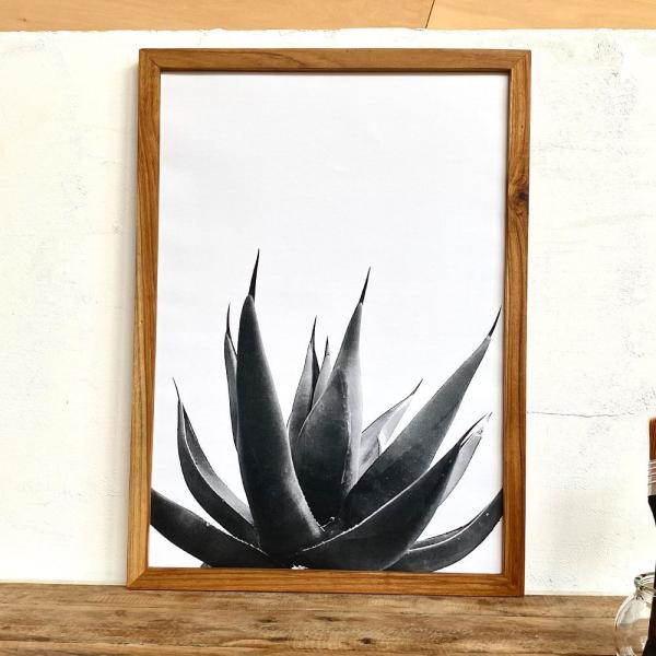 A3 アートポスター + 古材 フレーム  「植物 グラフィック」 "アガベ シャークスキン" 玄関...