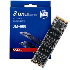 1TB M.2 SATA TLC LEVEN