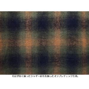 FOBファクトリー オープンカラーチェックネル...の詳細画像3
