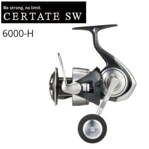 DAIWA（ダイワ） 23ソルティガ 6000-H【2023年新製品】 : つり具の銭屋