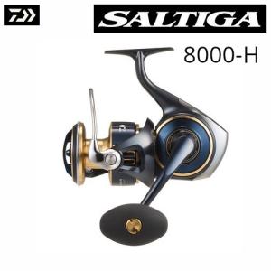 DAIWA（ダイワ） 23 ソルティガ 6000-H (2023年モデル) スピニング