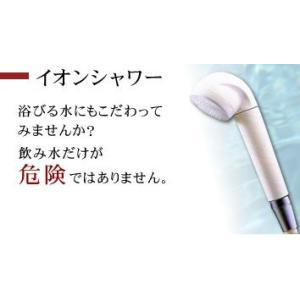 塩素対策、肌荒れ、髪のパサツキ回避にイオンシャワー