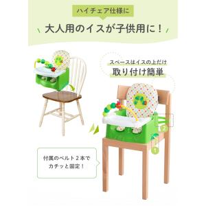 はらぺこあおむし ブースターシート 日本育児 ...の詳細画像3