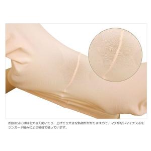 日本製バレエタイツ Le Cygne ル・シー...の詳細画像2