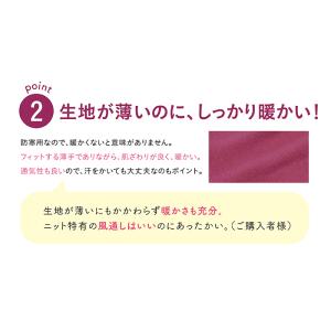サンシャKVT9A(CAMELIA) カメリア...の詳細画像2