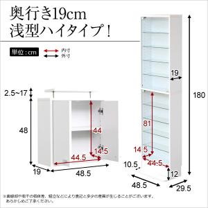 コレクションラック【-Luke-ルーク】浅型ハ...の詳細画像1