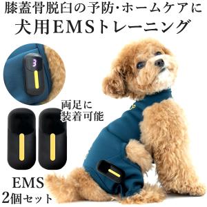 犬用 EMS トレーニングスーツ 犬 膝蓋骨脱臼 ケア 予防 トレーニング