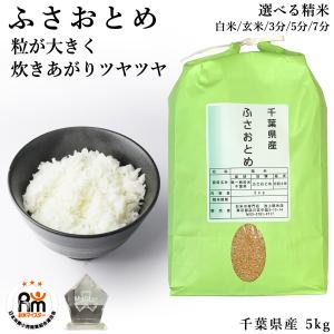 お得‼️ キロオトシ 60粒×2袋セット アラタ ろ過材 ゼオライト 強力吸着・強力脱臭 淡水魚用 4コ入り