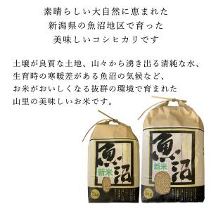 新米 米 お米 2kg 魚沼産 こしひかり 新...の詳細画像1