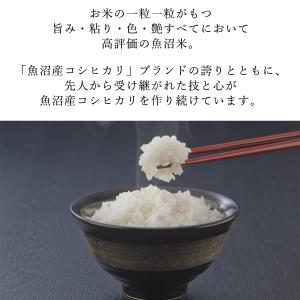新米 米 お米 2kg 魚沼産 こしひかり 新...の詳細画像2