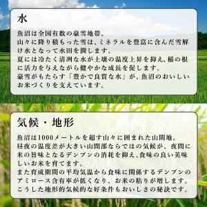 新米 米 お米 2kg 魚沼産 こしひかり 新...の詳細画像3