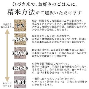 新米 お米 5kg 特別栽培米 ミルキークイー...の詳細画像3