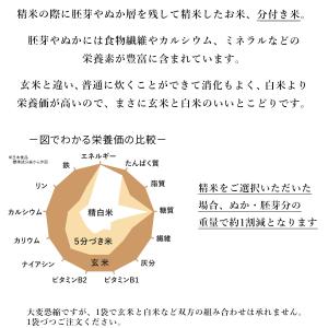 新米 お米 5kg 特別栽培米 ミルキークイー...の詳細画像4