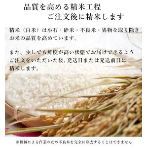 新米 お米 5kg 特別栽培米 ミルキークイー...の詳細画像5