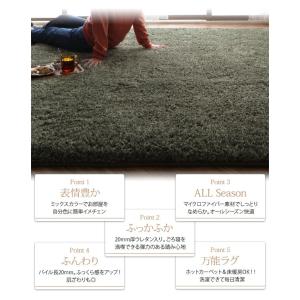 12色×4サイズから選べる すべてミックスカラ...の詳細画像2