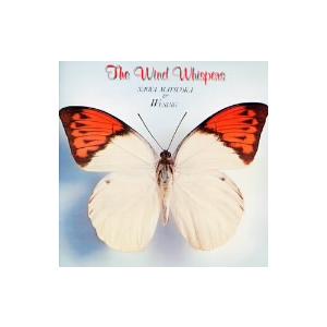 松岡直也＆ウィシング／Ｗｉｎｄ　Ｗｈｉｓｐｅｒｓ