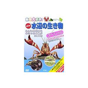 動物大好き!NEW水辺の生き物スペシャルの商品画像