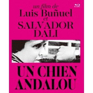 アンダルシアの犬