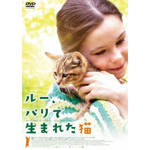 ルー、パリで生まれた猫