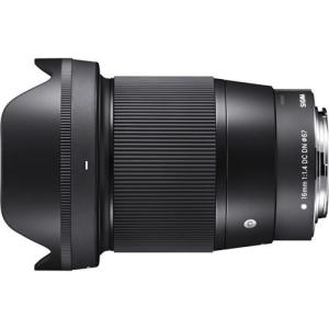 ケンコー・トキナー テレプラス HD 2X DGX キヤノン EOS EF/EF-S